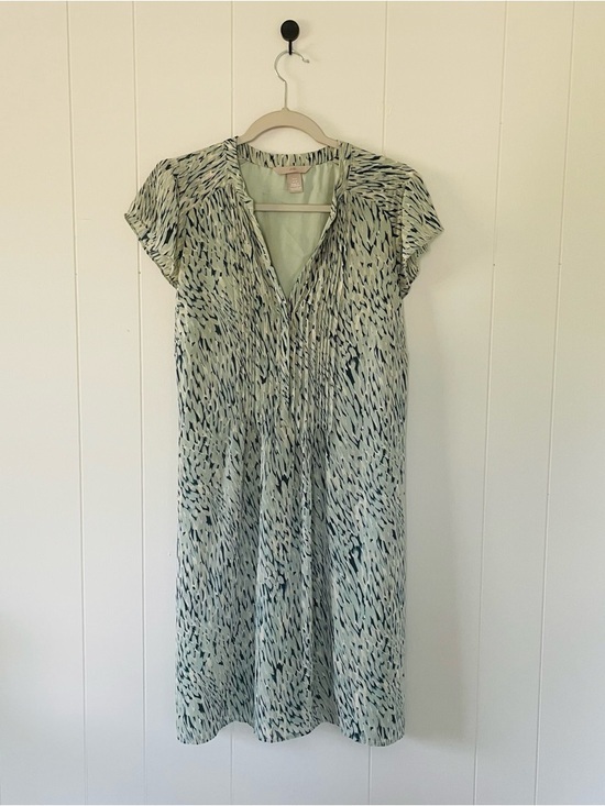H&M Dresses & Skirts - H&M Pale Green Printed V-Neck Midi Dress